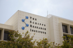 Scripps Research Institute Ends Merger Talks With USC | KPBS