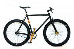 NoLogo Black Gold Single Speed Bike