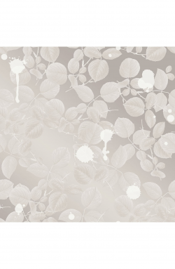 Tempaper Big Shot Vinyl Wallpaper | Nordstrom