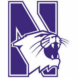 Northwestern Wildcats: Logo - Giant Officially Licensed ...