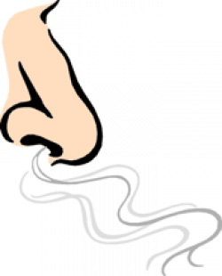 Nose Smell Clipart | Free download best Nose Smell Clipart ...