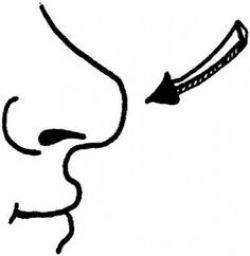 Clipart Black And White Nose