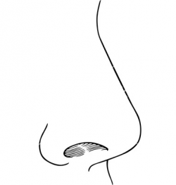 Nose clipart - Clipartix