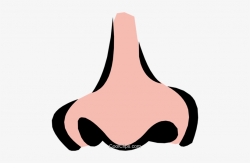 Clipart Png Nose - Cartoon Nose Clip Art Transparent PNG ...