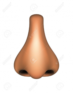 Best Nose Clipart #4202 - Clipartion.com