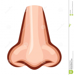 Human Nose Clipart For Kids