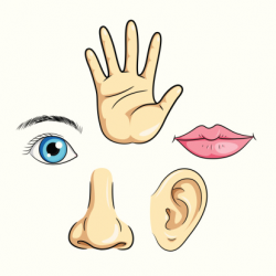 Clipart google nose eyes – Gclipart.com