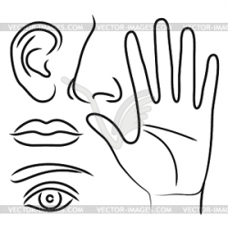Sensory organs hand, nose, ear, mouth and eye - vector EPS ...