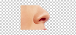 Small Female Nose, nose graphic PNG clipart | free cliparts ...