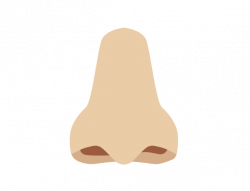 Nose Clipart No Background