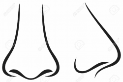 human nose clipart black and white - Google Search in 2019 ...