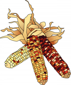 54 Free November Clipart - Cliparting.com