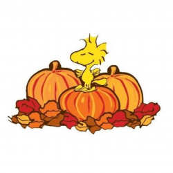 Collection of Peanuts clipart | Free download best Peanuts clipart ...