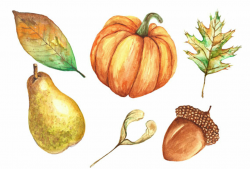 Fall clipart watercolor. Autumn clip art instant download. Pumpkin ...