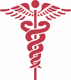 Free CNA Cliparts, Download Free Clip Art, Free Clip Art on ...