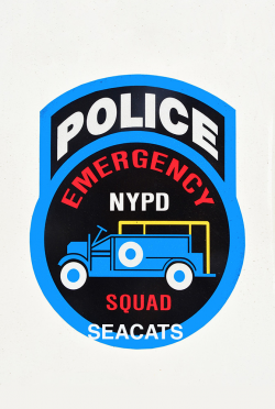 New York Police Department (NYPD) Emergency Service Unit ...