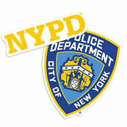 Amazon.com: Popfunk New York City NYC NYPD Logo Collectible ...