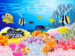Coral reef clipart 2 - Clipartix