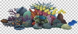 Coral Reef Sea Ocean PNG, Clipart, Aquarium, Aquarium Decor ...