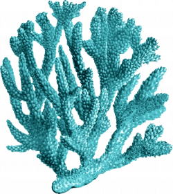 Ocean clipart coral reef ecosystem, Ocean coral reef ...