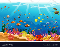 Marine underwater scene