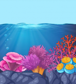 Underwater ocean coral scene - Download Free Vectors ...