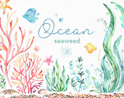 Ocean. Seaweed. Underwater watercolor clip art, water plants ...