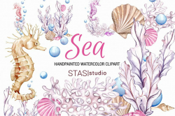 Ocean Watercolor Clipart Seahorse ~ Illustrations ~ Creative ...