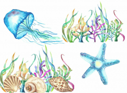Sea shells watercolor clipart, Under the sea clip art ...