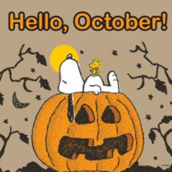 78 Best Fall images in 2016 | Charlie brown peanuts, Frases, Snoopy love