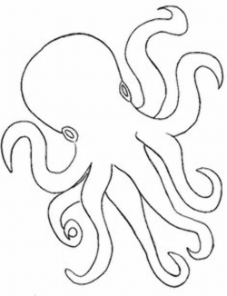10 Best Octopus Outline images | Octopus, Octopus outline ...