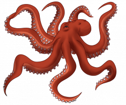 Octopus PNG Images Transparent Free Download | PNGMart.com