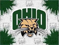 Amazon.com: Ohio University Logo Canvas Art: Sports & Outdoors