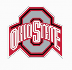 Amazon.com: Ohio State Buckeyes Football Full Color Logo ...