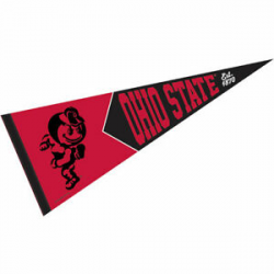 Details about Ohio State University Vault, Retro and Vintage Logo Pennant