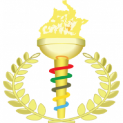 Olympic Torch | Brands of the World™ | Download vector logos ...