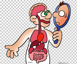 Human Body Anatomy Open Biology PNG, Clipart, Anatomy, Area ...