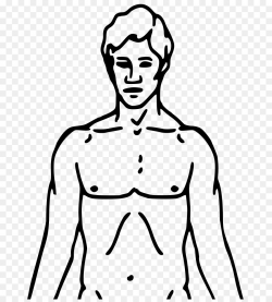 Clip art Human body Openclipart Drawing Vector graphics ...