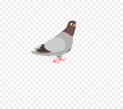 Bird Cartoon clipart - Word, Bird, Wing, transparent clip art