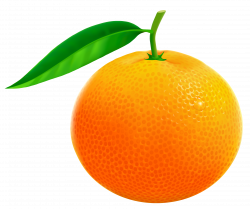Free Fruit Orange Cliparts, Download Free Clip Art, Free Clip Art on ...