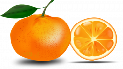 Orange Clip Art Free | Clipart Panda - Free Clipart Images
