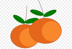 Orange, Fruit, Food, transparent png image & clipart free download