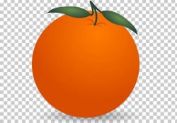 Computer Icons Orange Chinese New Year PNG, Clipart, Apple, Apple ...