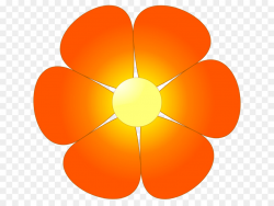 Orange Flower png download - 900*675 - Free Transparent Orange png ...