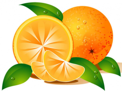 Free orange clipart fruit clip art - Cliparting.com