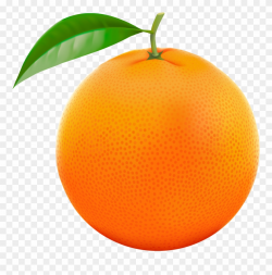 Orange Fruit Clipart Orane - Orange Fruit Orange Silhouette - Png ...