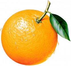 Free Fruit Orange Cliparts, Download Free Clip Art, Free Clip Art on ...