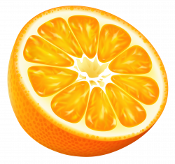 Half Orange PNG Vector Clipart Image | Gallery Yopriceville - High ...