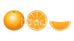 Fresh Oranges (whole, Half and Slice) Clipart Isolated on White ...