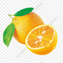 Half Cut Oranges, Golden Orange, Green, Pulp PNG Transparent Image ...
